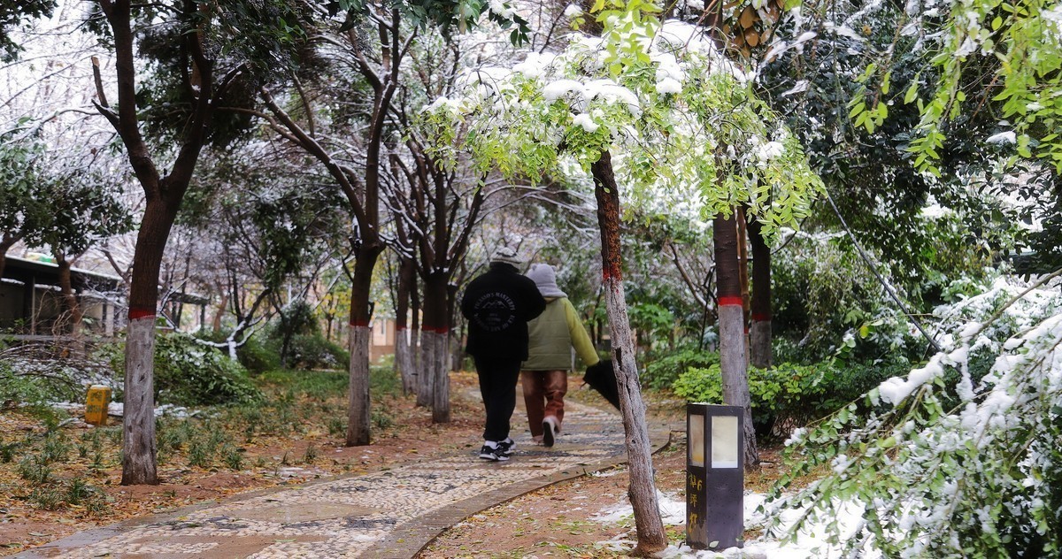 2024作品回顾贴/人文篇