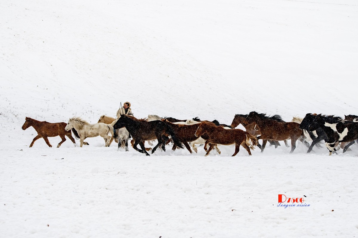 策马奔腾（25）