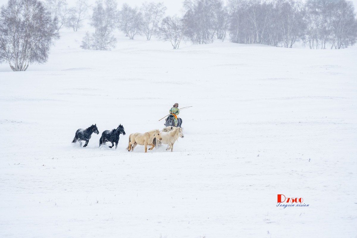 策马奔腾（25）