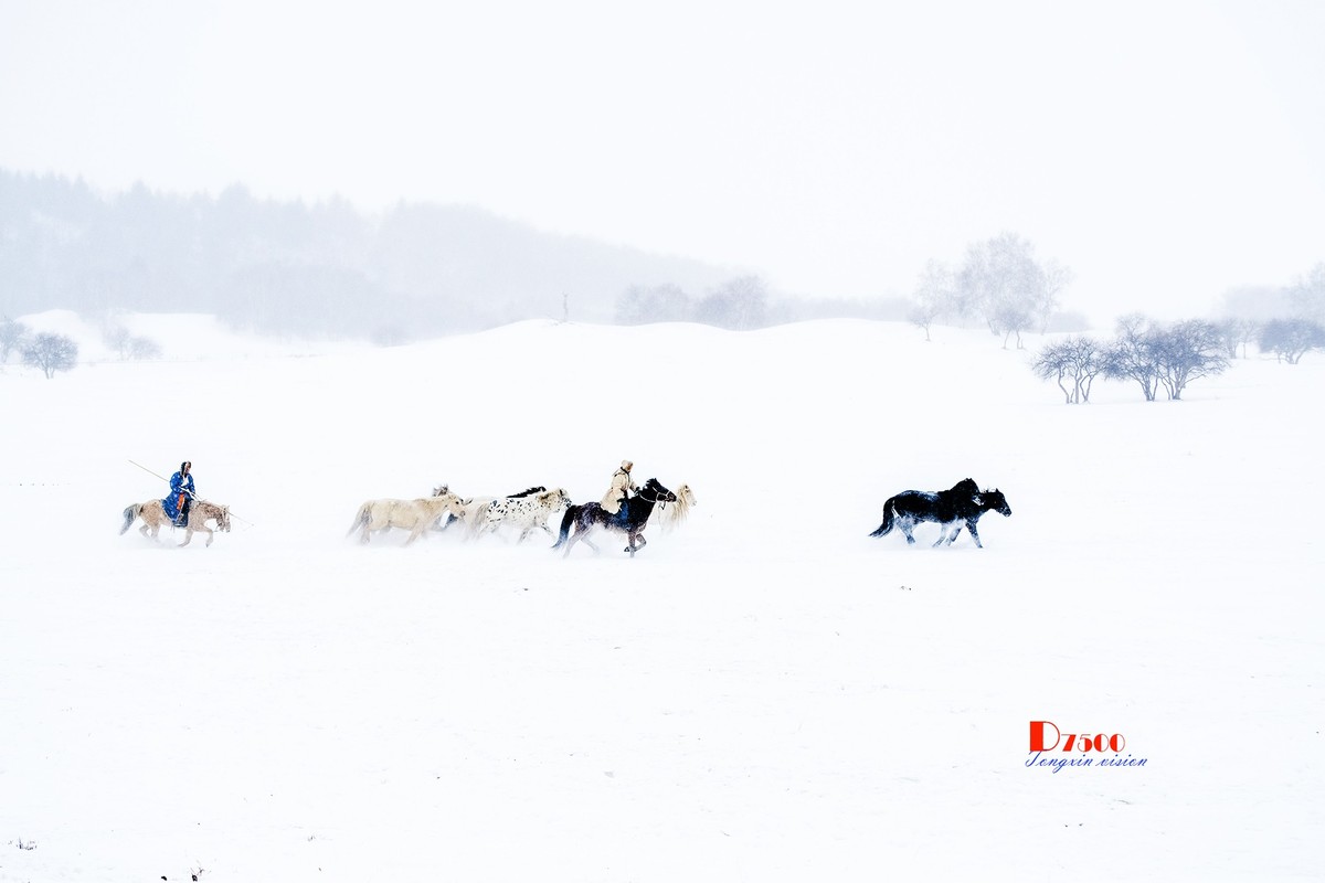 策马奔腾（25）