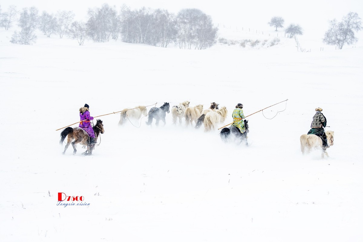 策马奔腾（25）