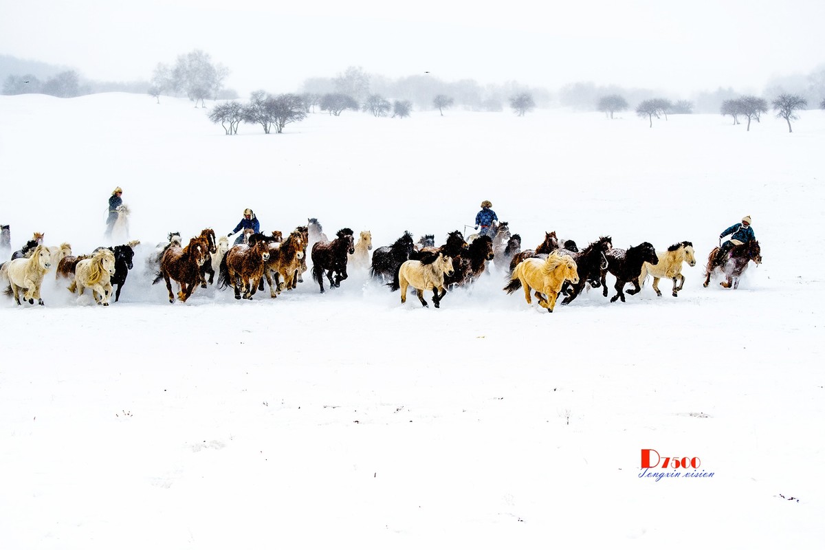 策马奔腾（25）