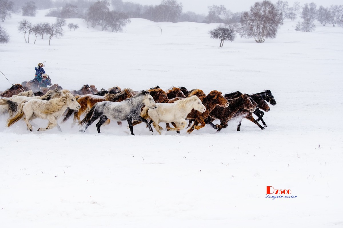 策马奔腾（25）