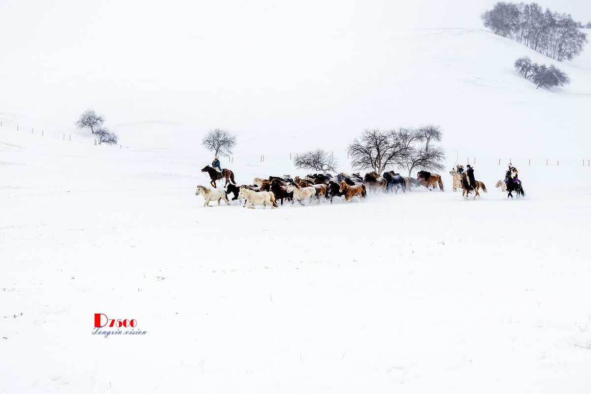 策马奔腾（25）