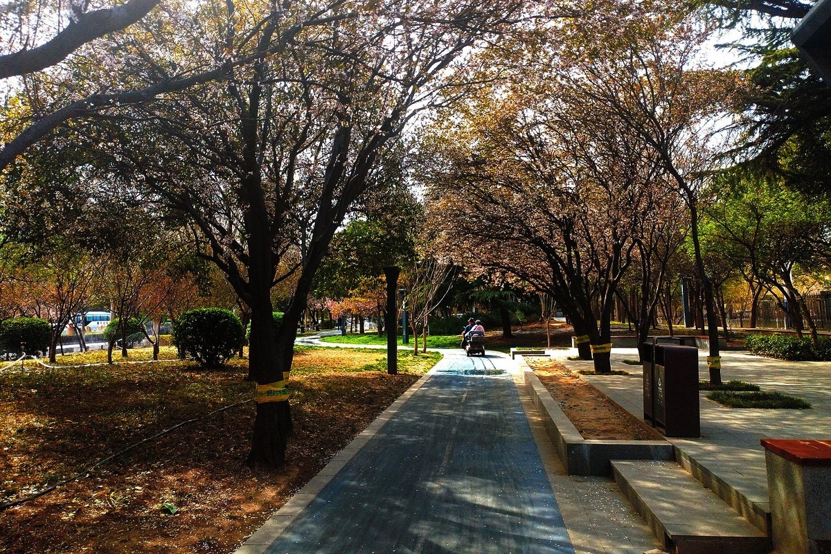 初春·街心公园2