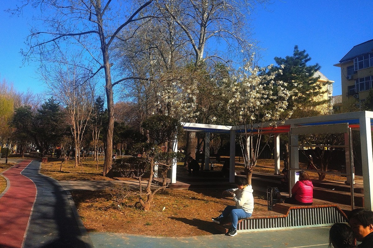 初春·街心公园2