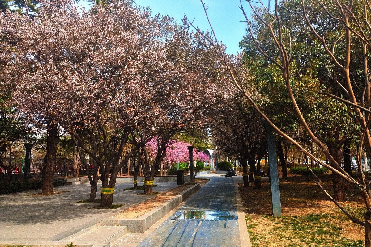初春·街心公园2
