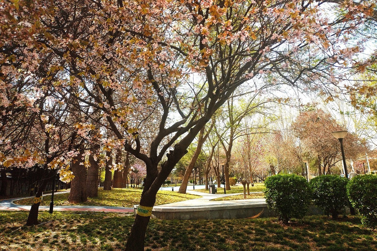 初春·街心公园2