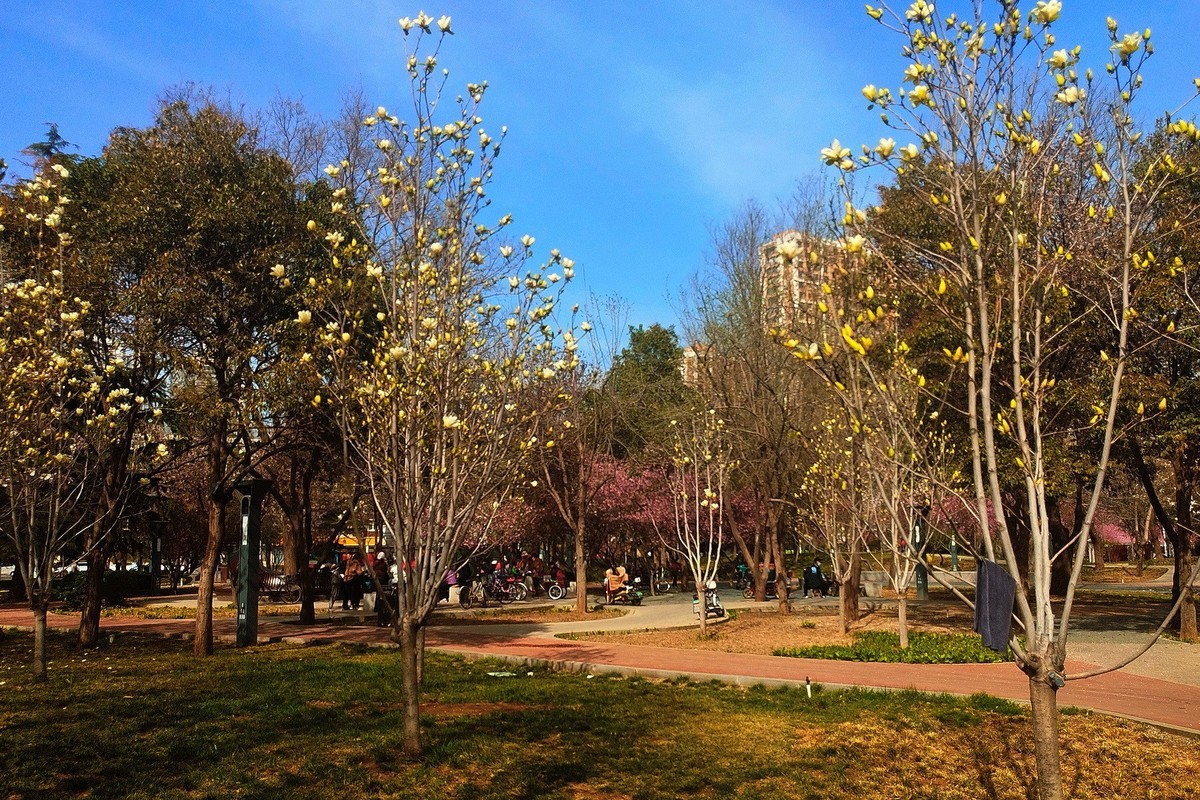 初春·街心公园2