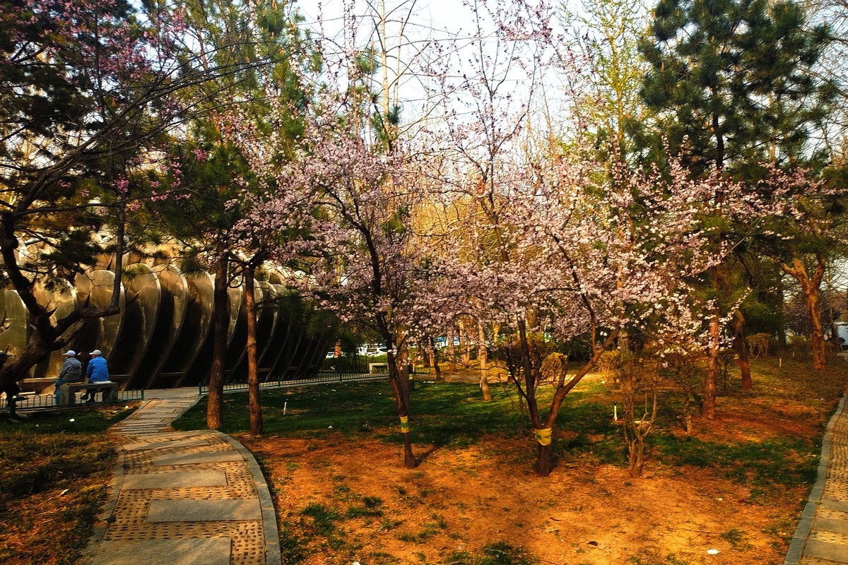 初春·街心公园2