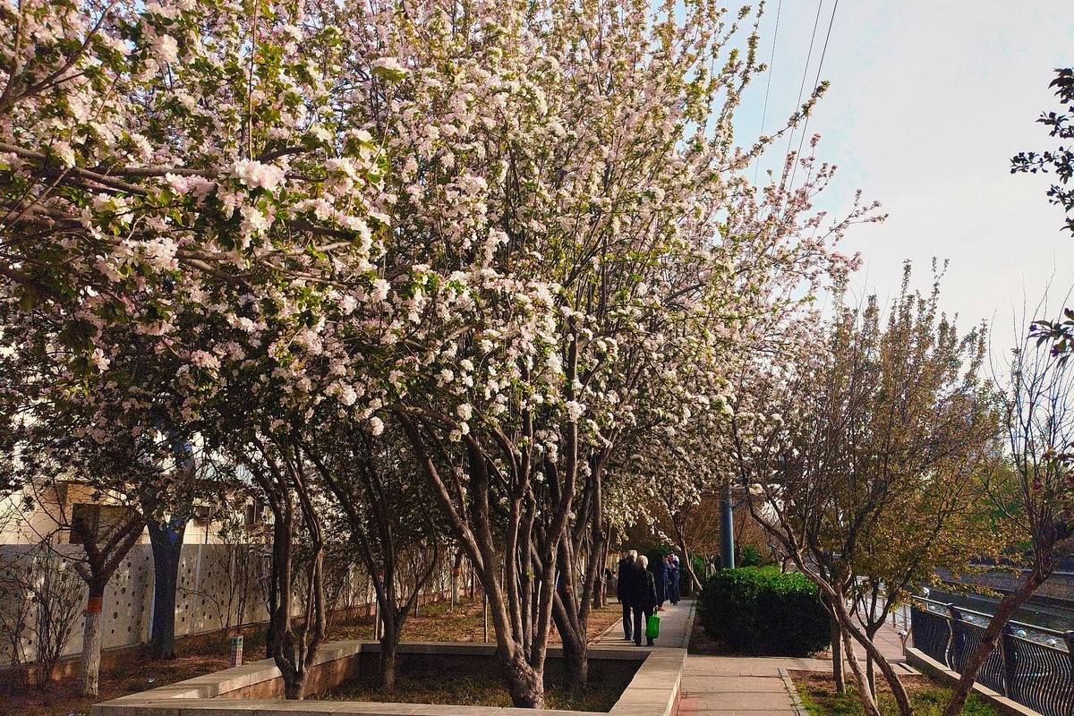 初春·街心公园2