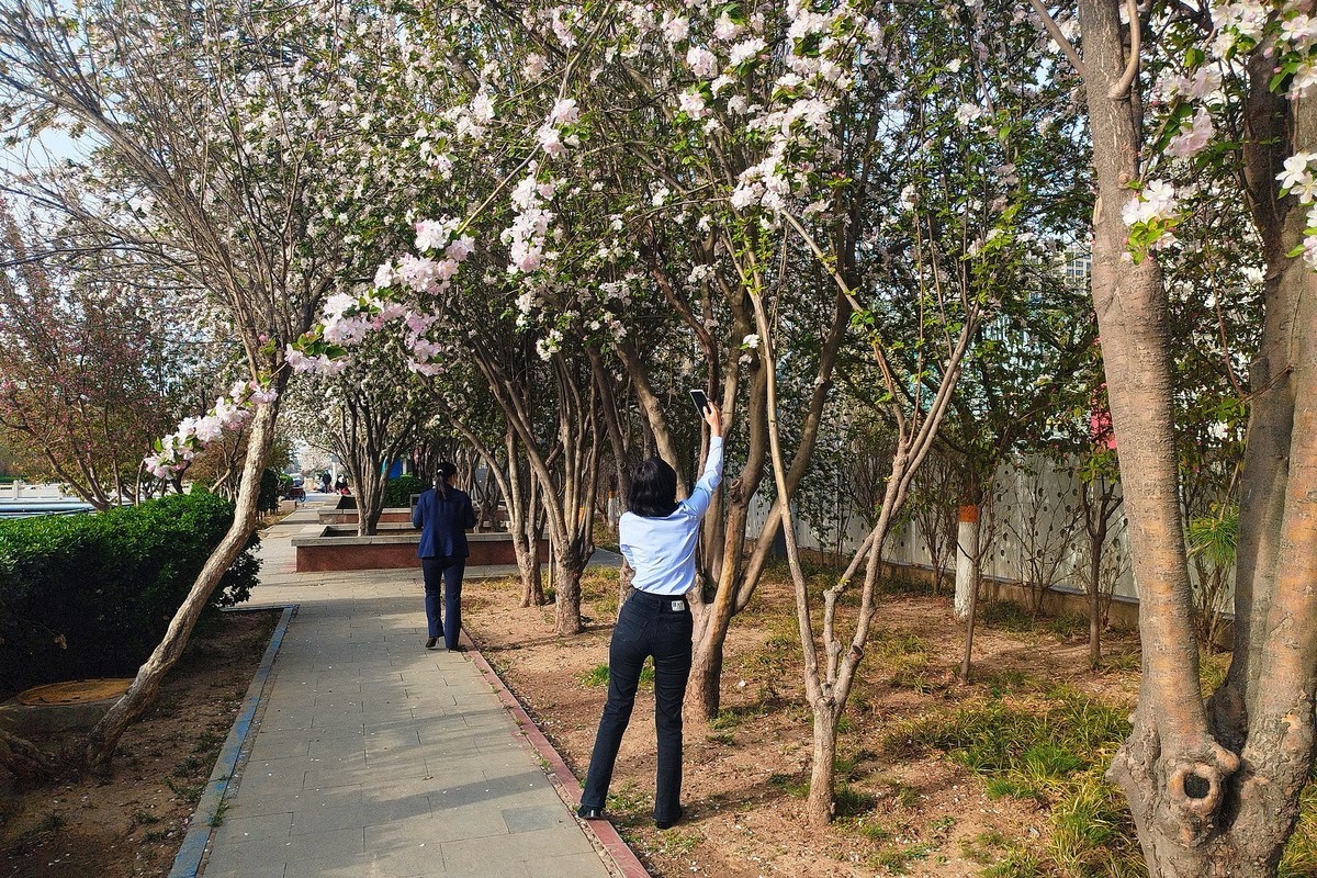 初春·街心公园2