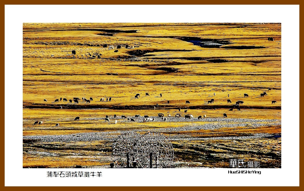 2023西行游记（新疆112）—蒲犁石头城草滩牛羊（喀什塔县）