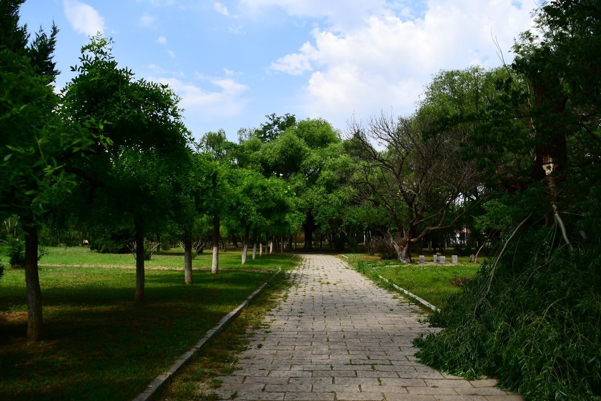 夏日里醉人的绿