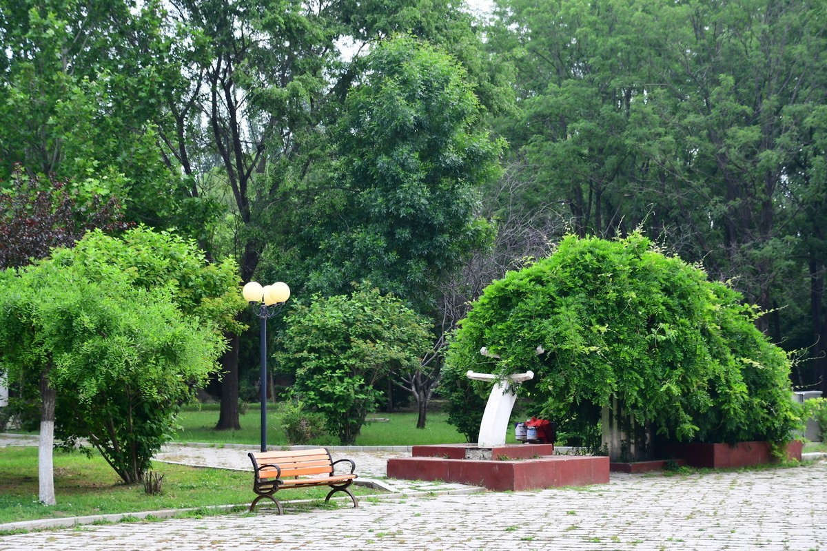 夏日里醉人的绿