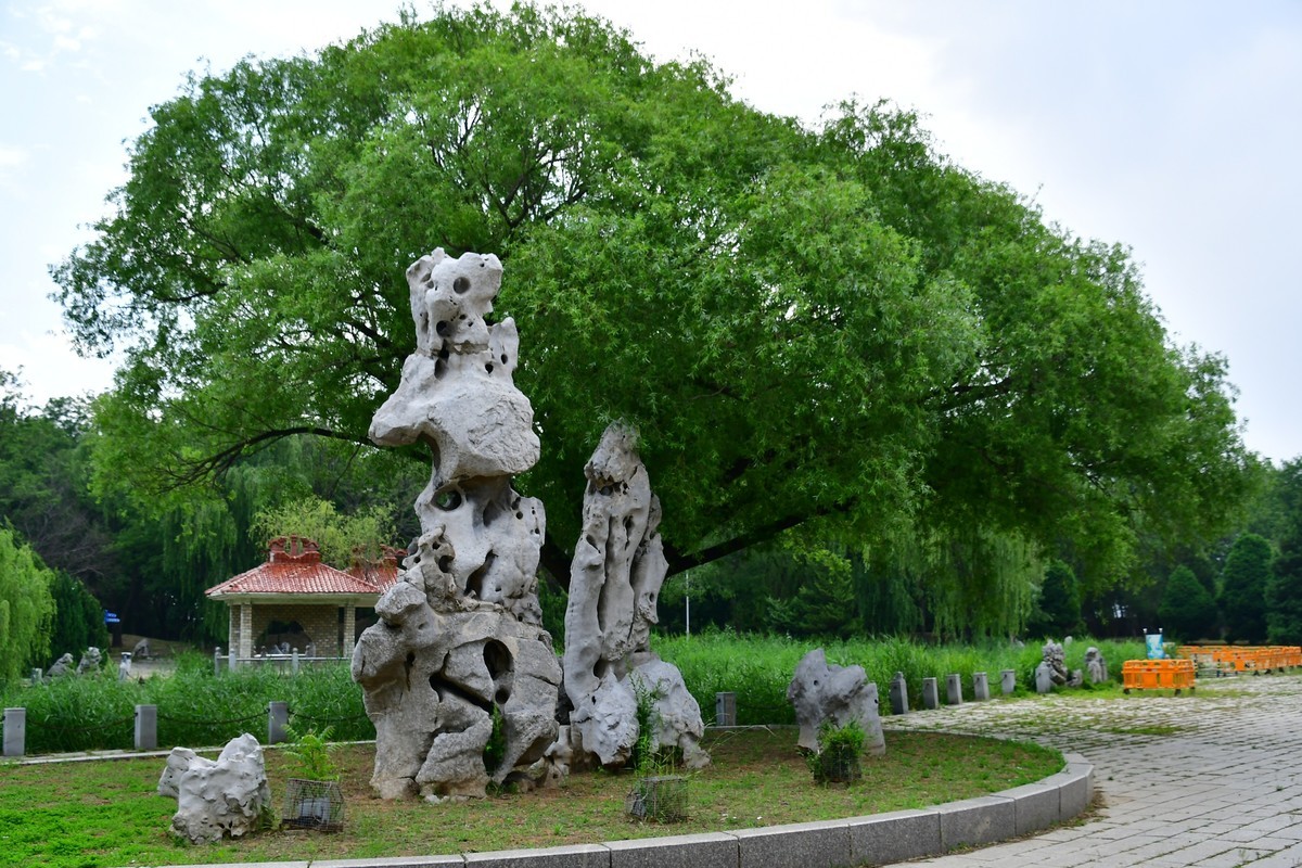 夏日里醉人的绿