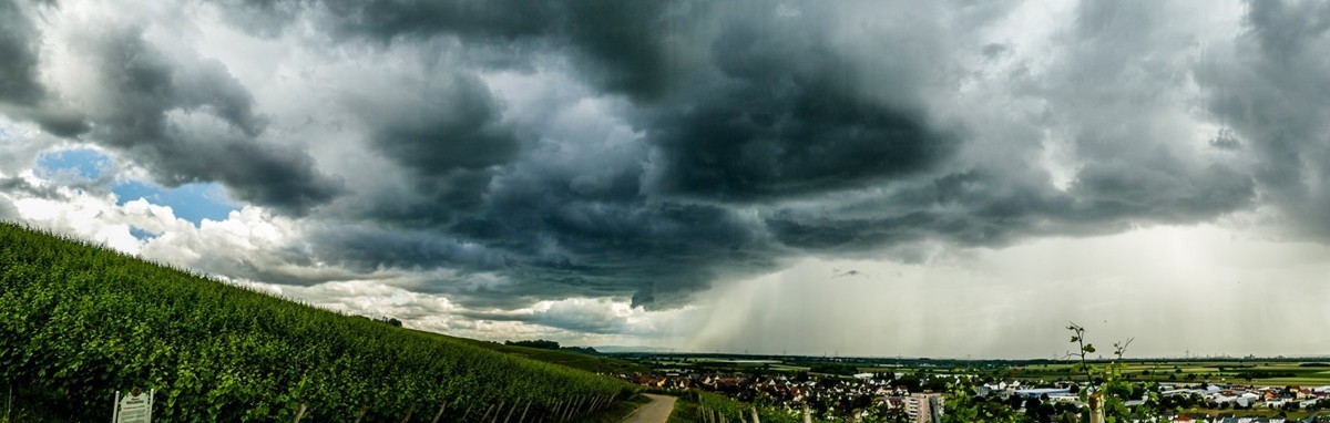 “山雨欲来”，“鹰击长空”