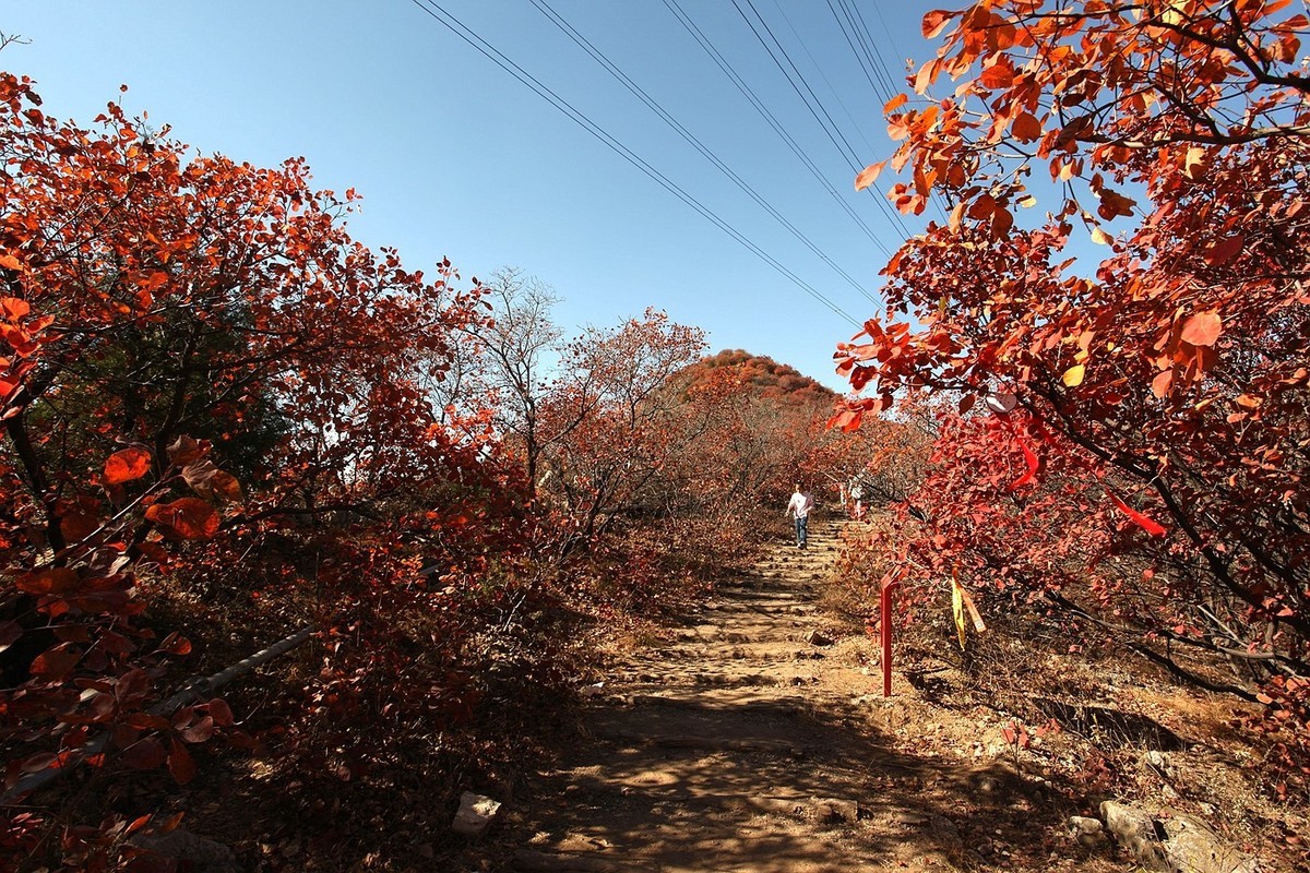 顺义-舞彩浅山红叶风情