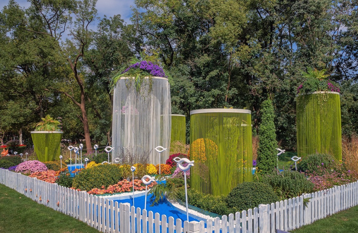 2023共青城菊花展