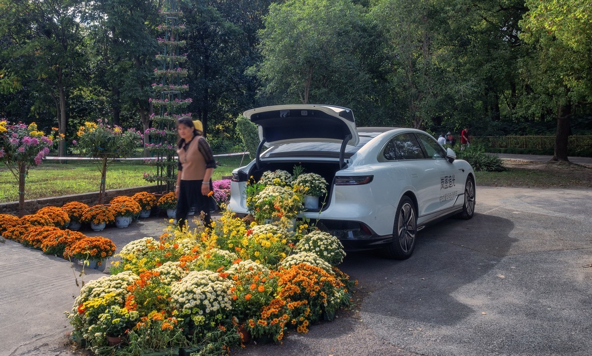 2023共青城菊花展