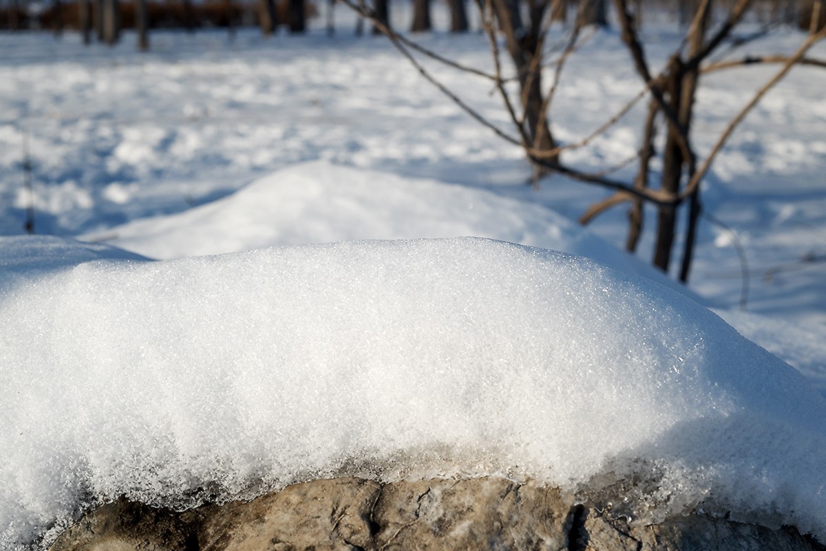 “人精”拍摄的残雪