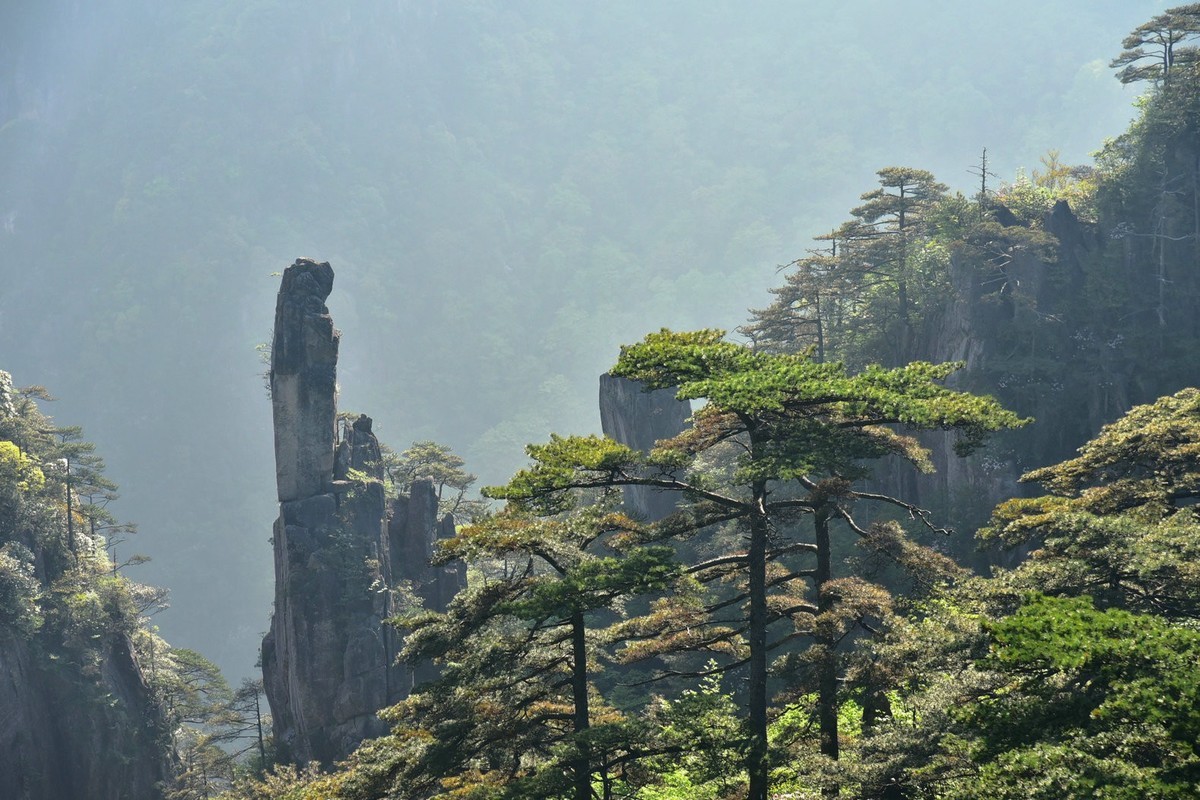 一生痴绝处，无梦到徽州。天下黄山（二）