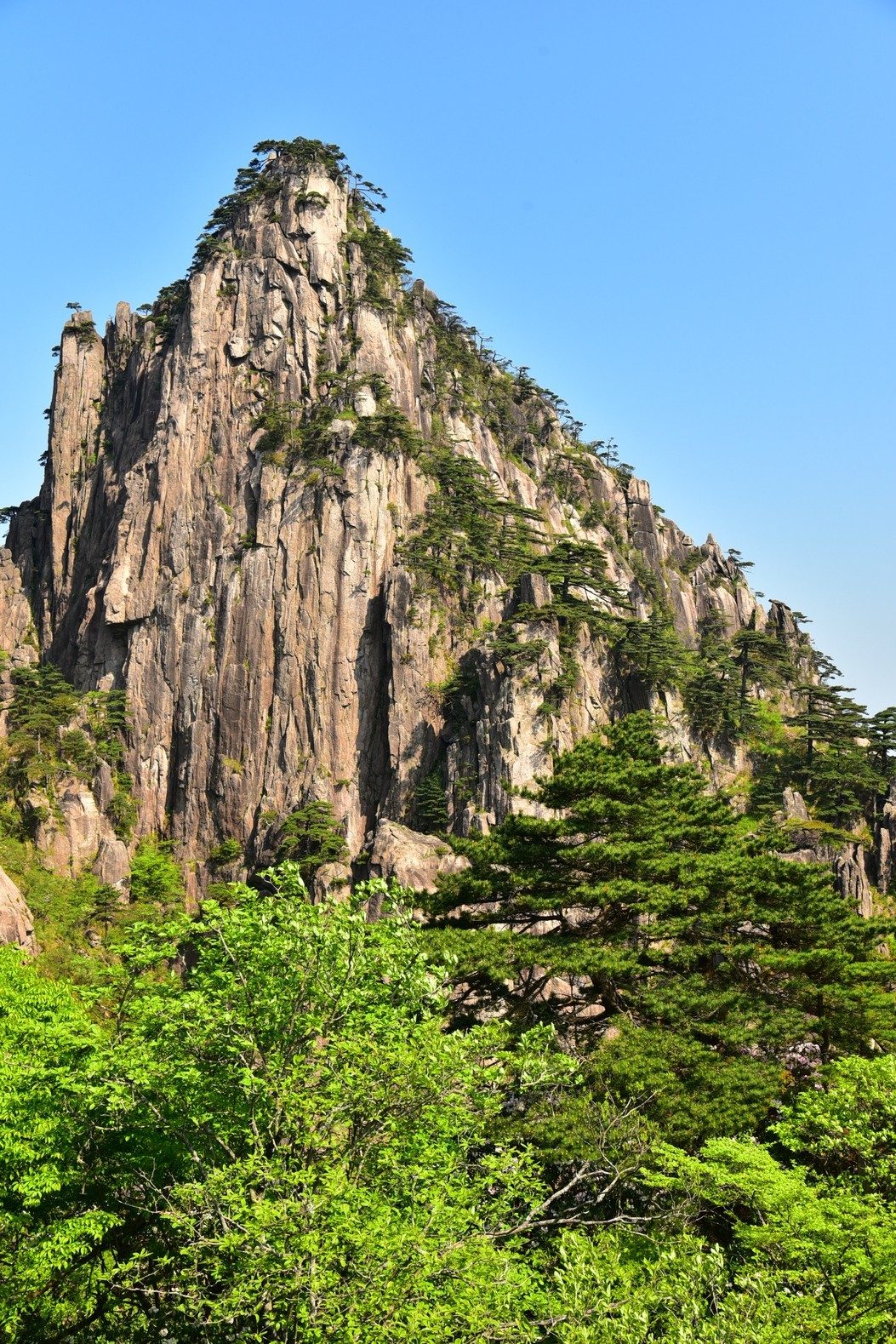 一生痴绝处，无梦到徽州。天下黄山（二）