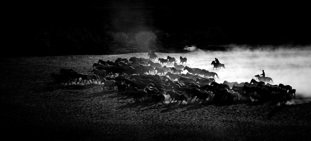 2024作品回顾贴/人文篇