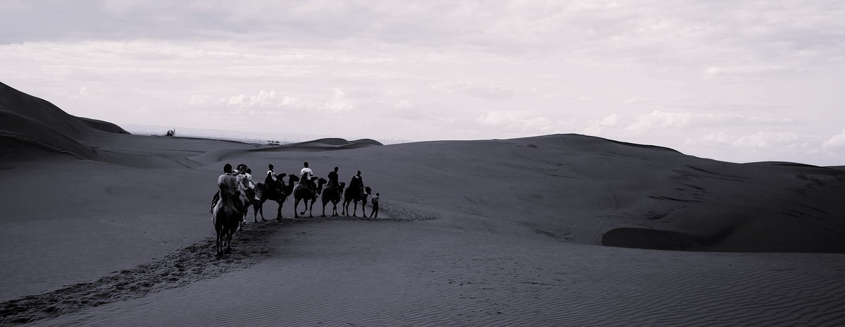 2024作品回顾贴/人文篇