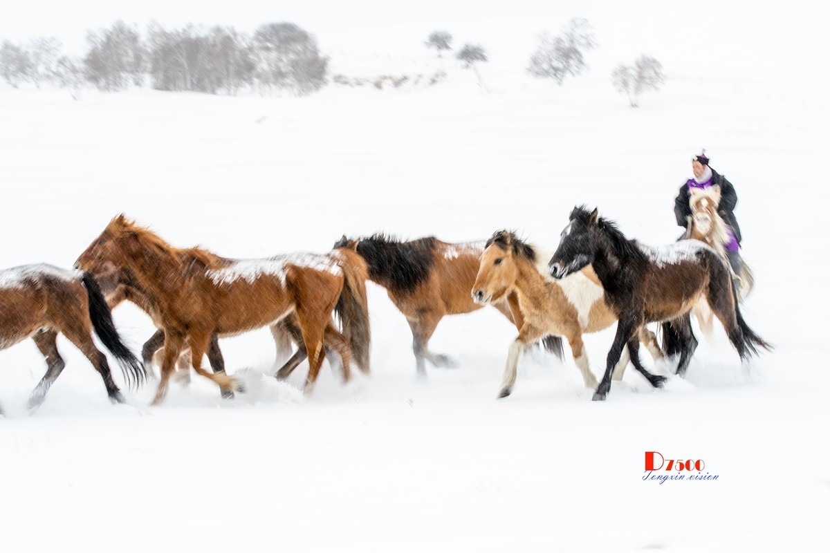 策马奔腾（25）