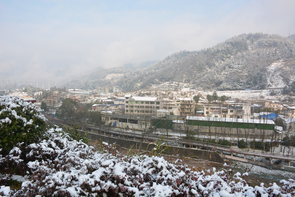 抗严寒化冰雪-中关村在线摄影论坛