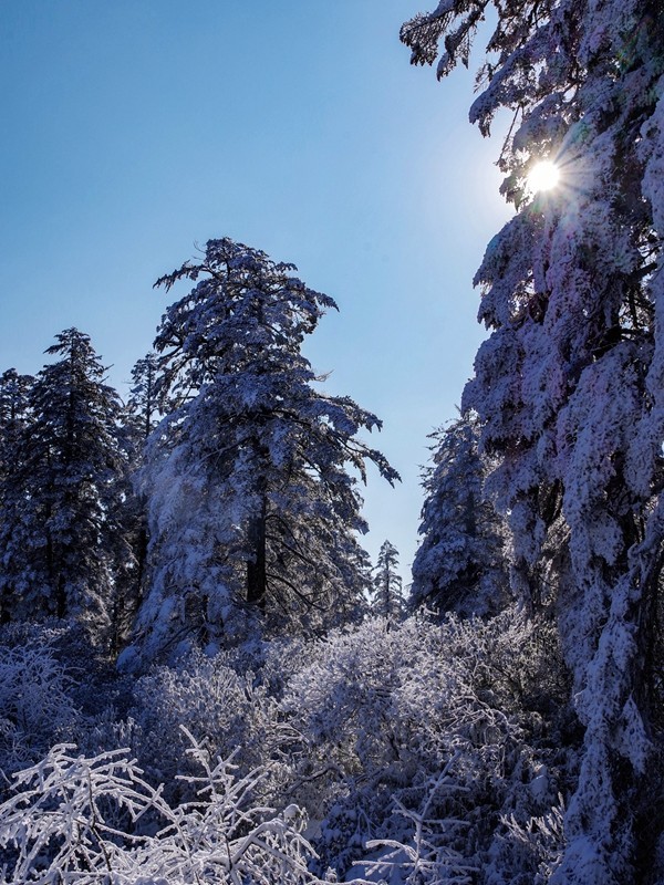 四川洪雅---探雪瓦屋山【19】续完