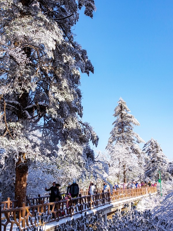 四川洪雅---探雪瓦屋山【19】续完