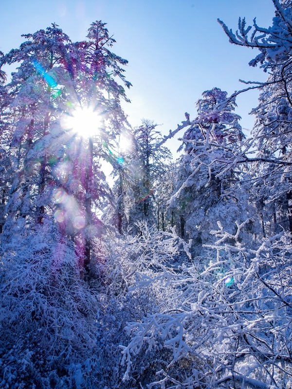 四川洪雅---探雪瓦屋山【19】续完