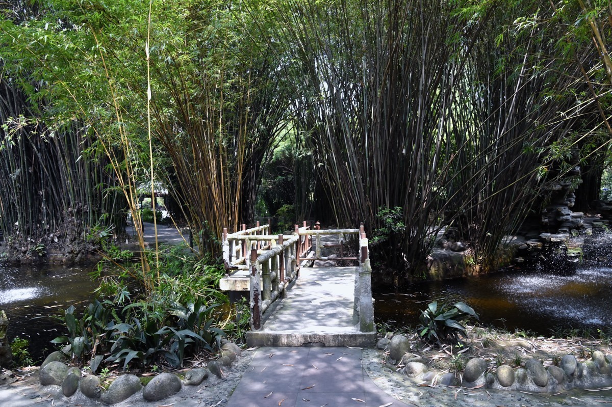 棠湖公园风景（二）