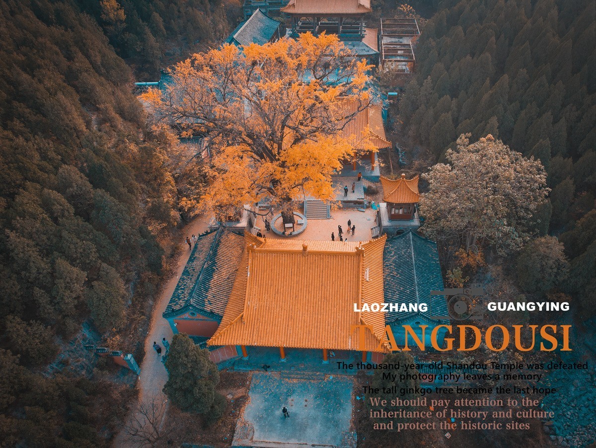 【老张光影】银杏飘零淌豆寺