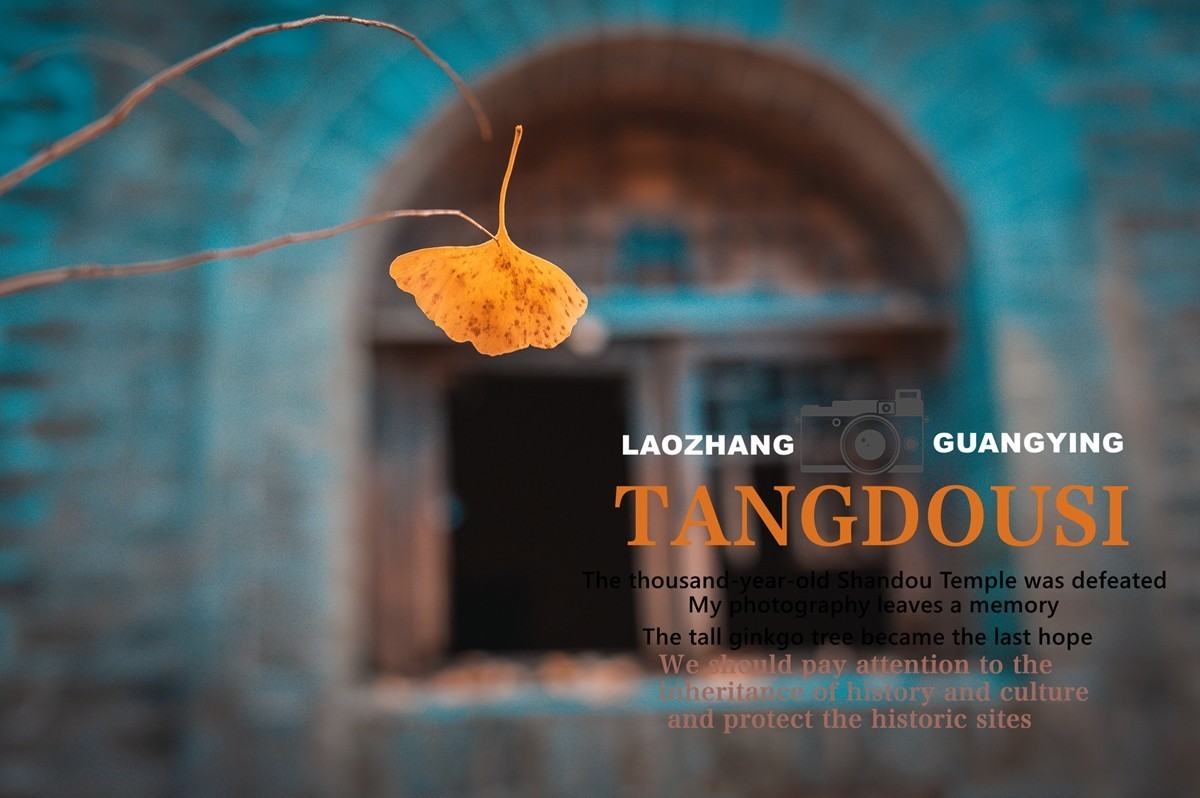 【老张光影】银杏飘零淌豆寺