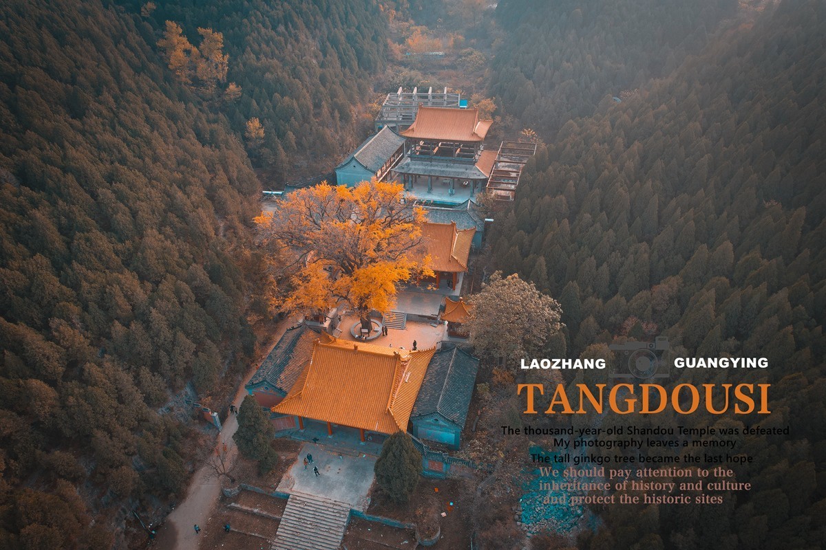 【老张光影】银杏飘零淌豆寺