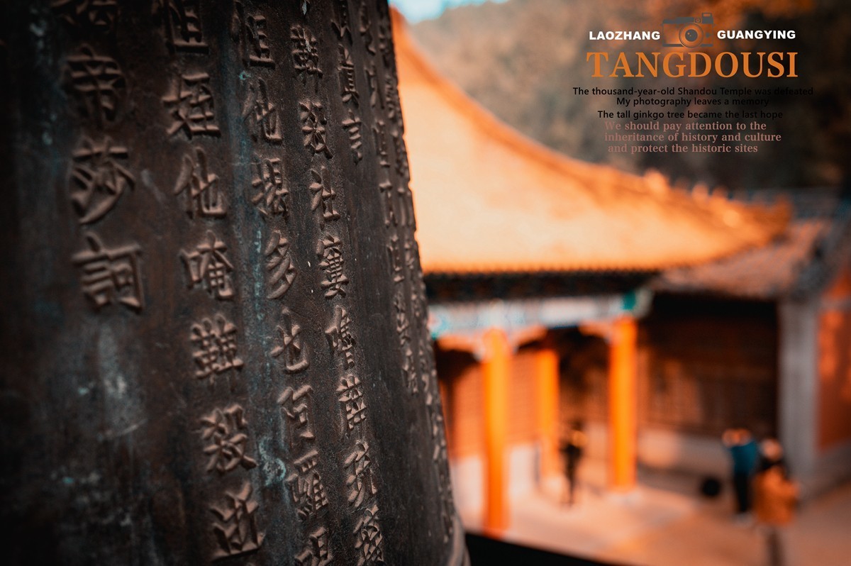 【老张光影】银杏飘零淌豆寺