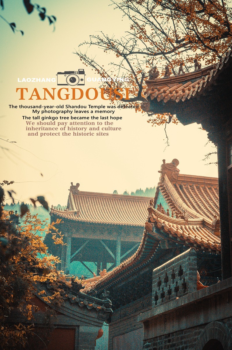 【老张光影】银杏飘零淌豆寺