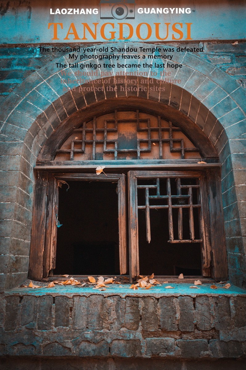 【老张光影】银杏飘零淌豆寺