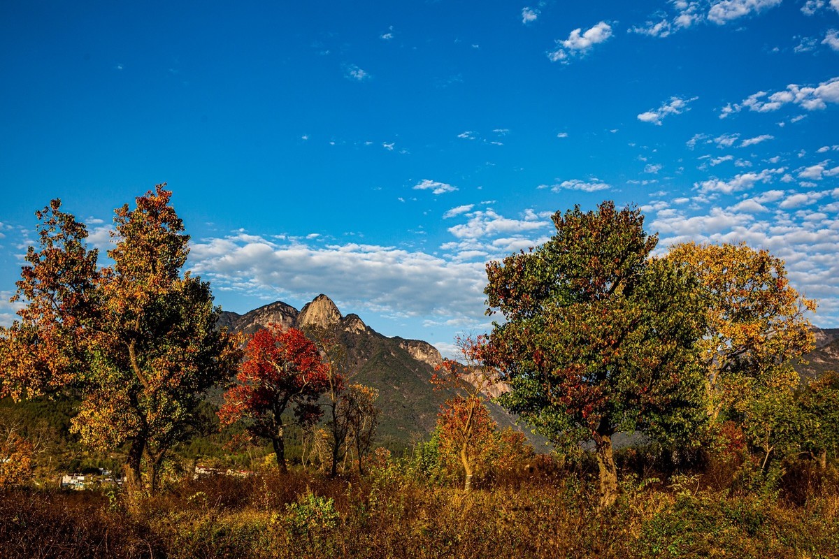 【大别山寻秋】