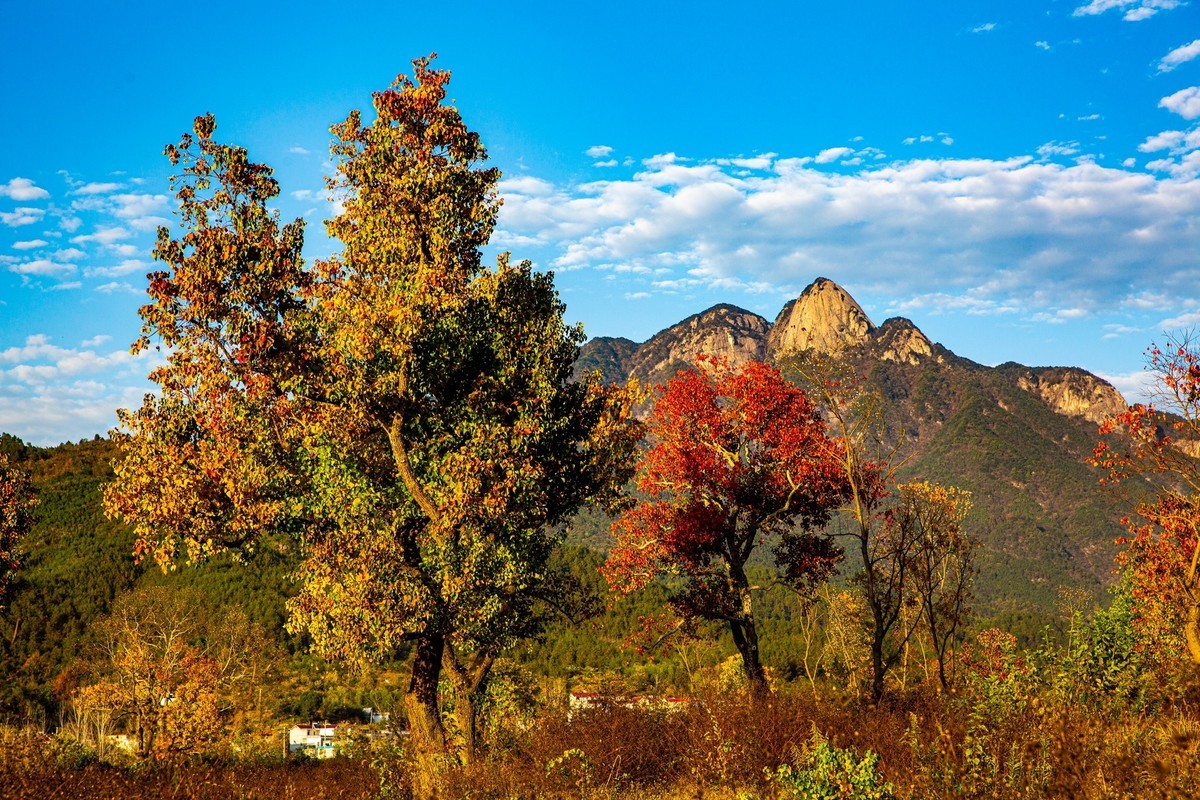 【大别山寻秋】