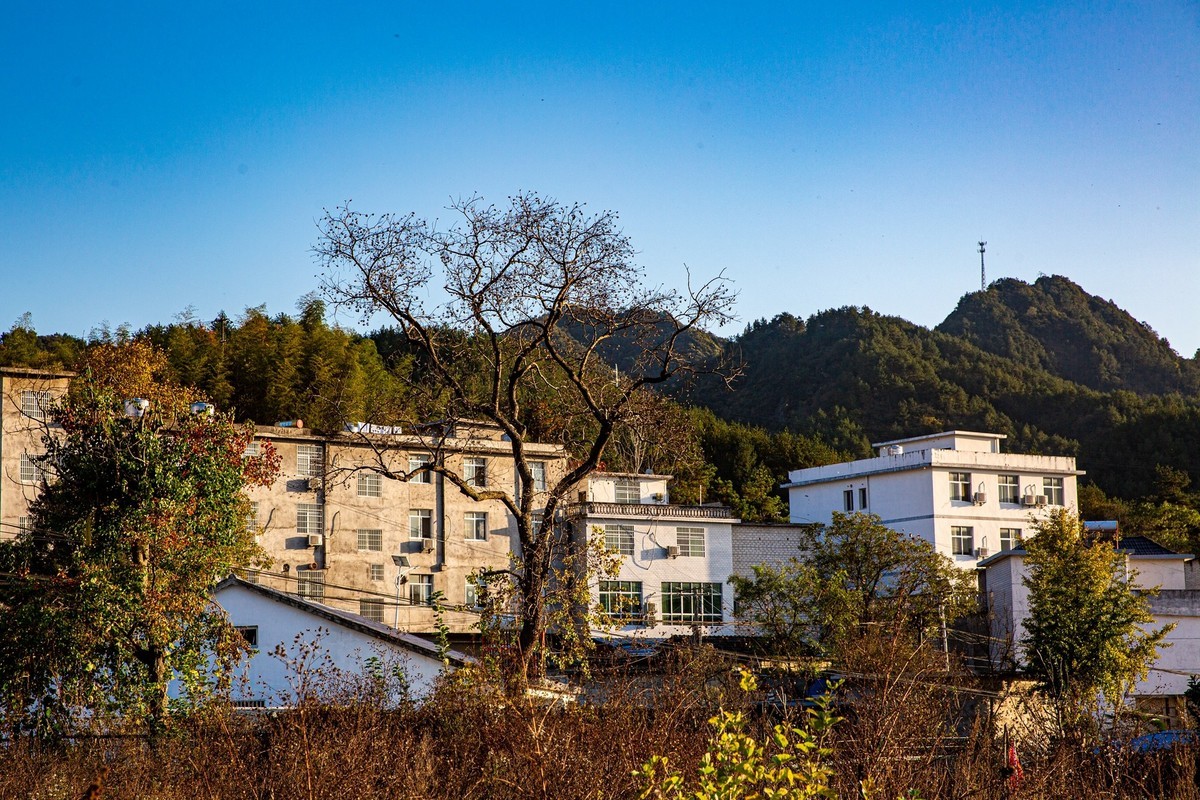 【大别山寻秋】