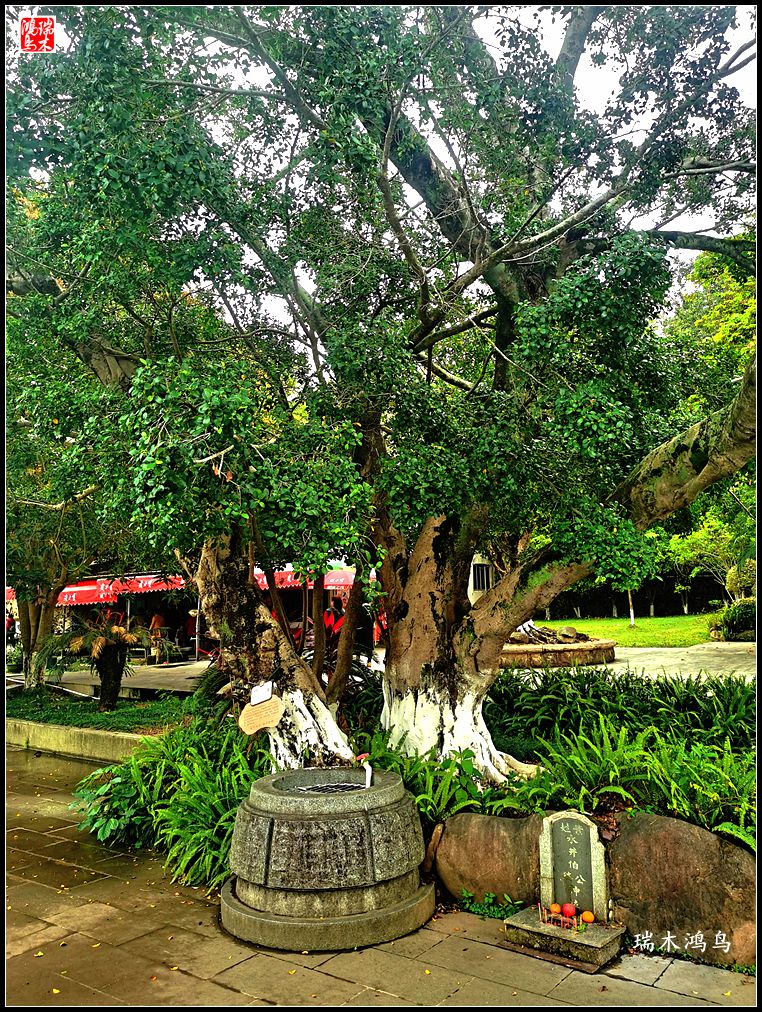 【印象潮汕】24.ye剑英纪念园纪行