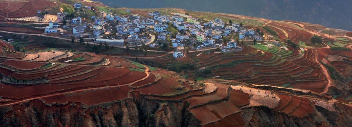 晨拍红土地【下】