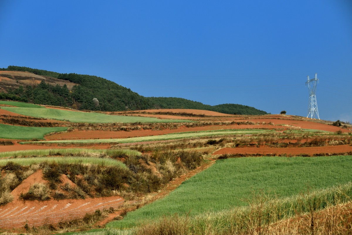 晨拍红土地【下】
