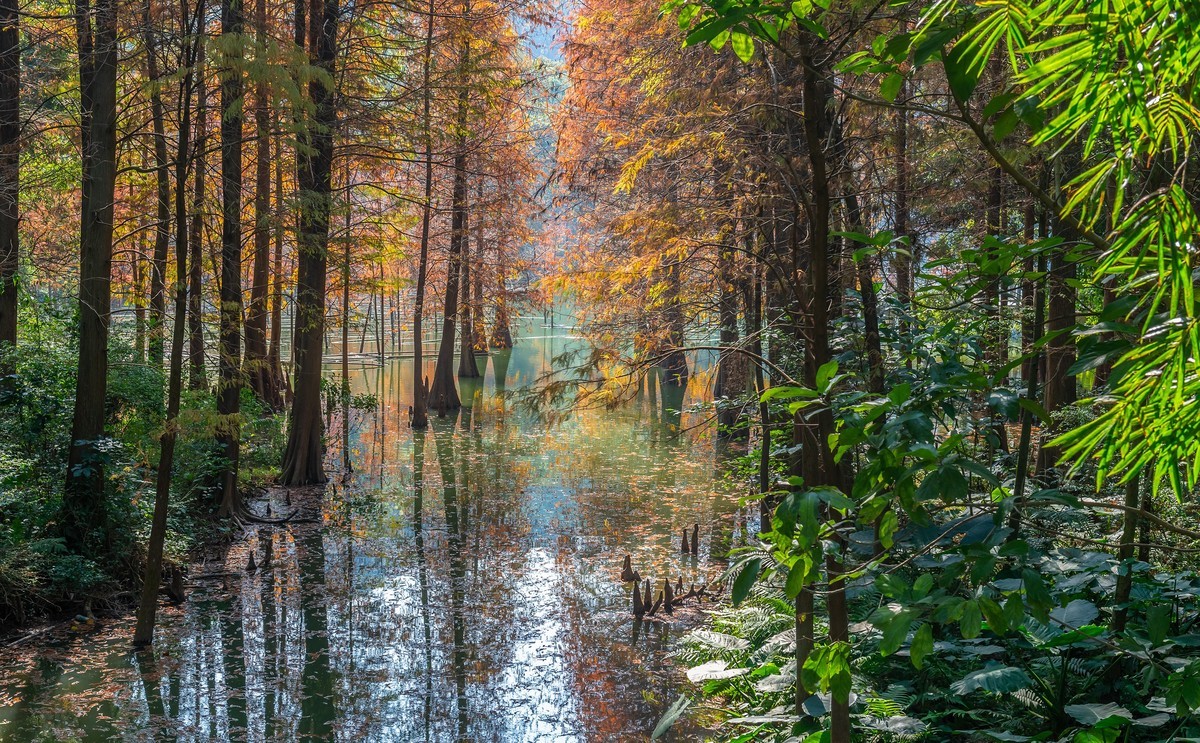 广州白云山黄婆洞风光