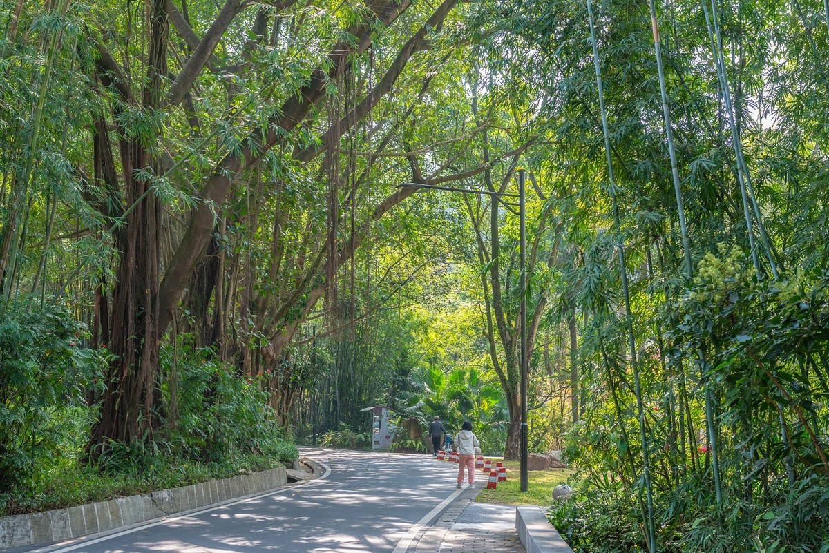 广州白云山黄婆洞风光