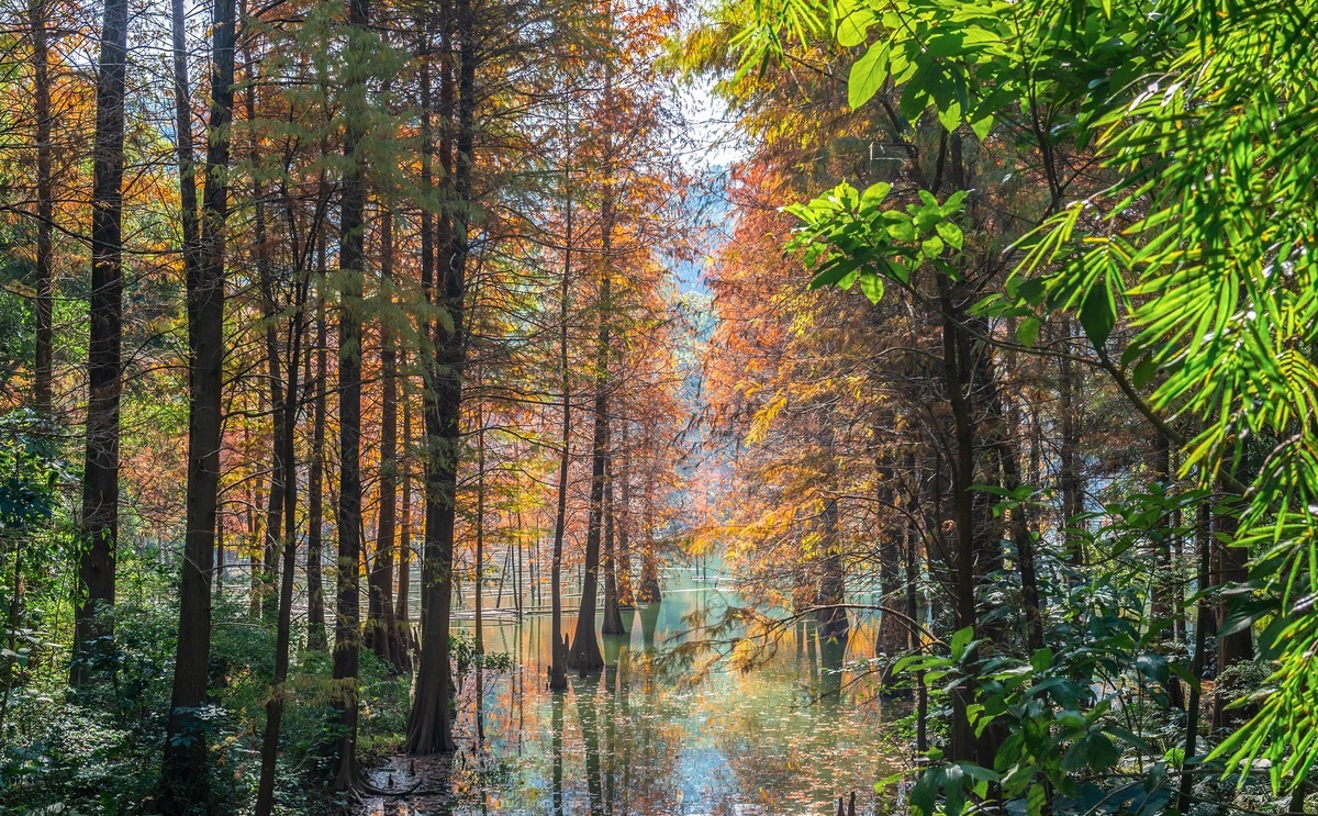 广州白云山黄婆洞风光